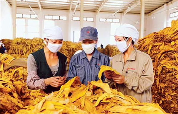 煙葉分級燈箱的色溫和顯色指數是多少？