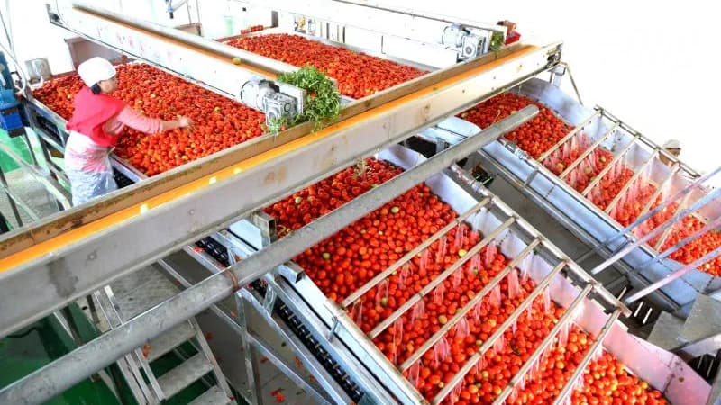 番茄醬的顏色分級，認準香蕉电影网在线观看時YS4580分光測色儀！3