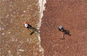 色差寶在油茶国产香蕉视频黄色中的應用