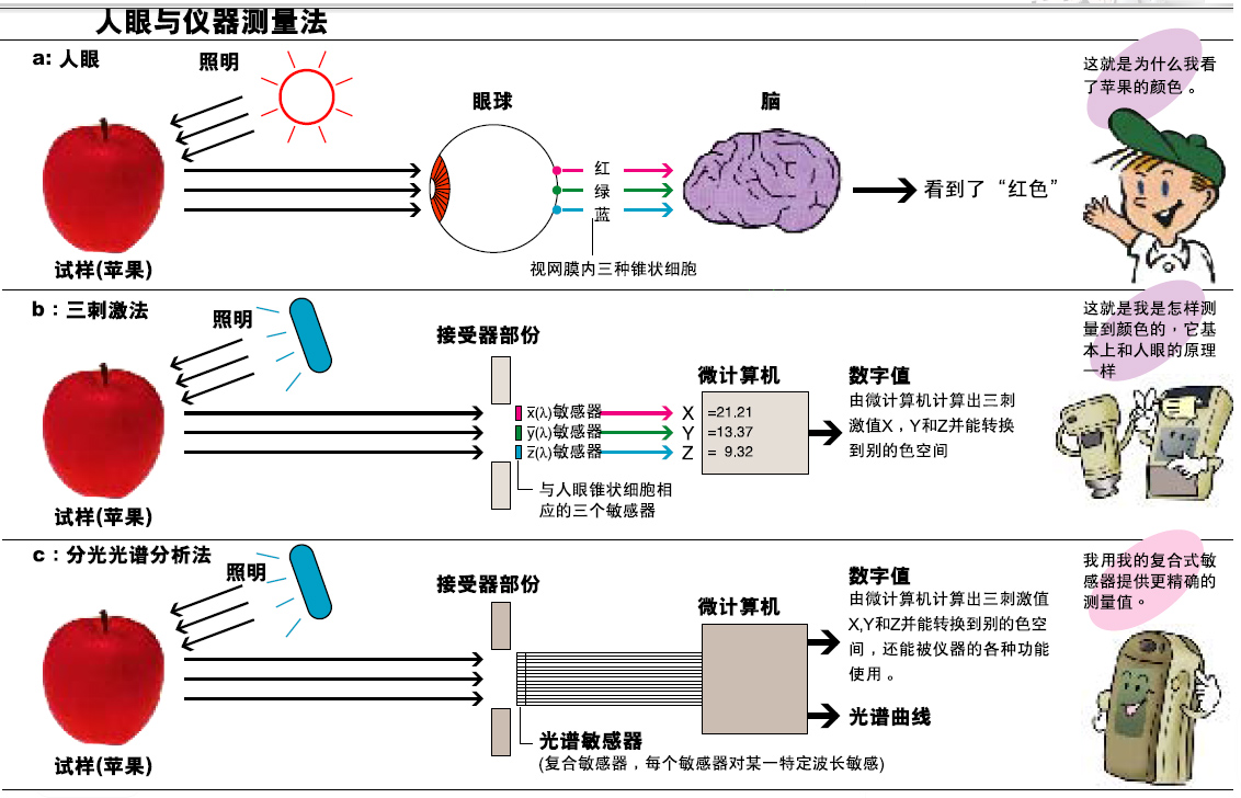 香蕉影视网站APP的分光型與三刺激值型哪個更好？