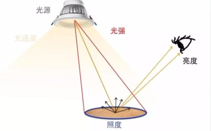 勒克斯：照度的度量單位