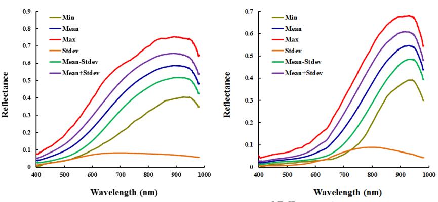 光的反射率：從基本原理到現實應用的完整解析